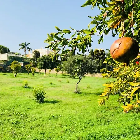 Paraiso - Luxury Perfect For Families! Carvoeiro (Lagoa)